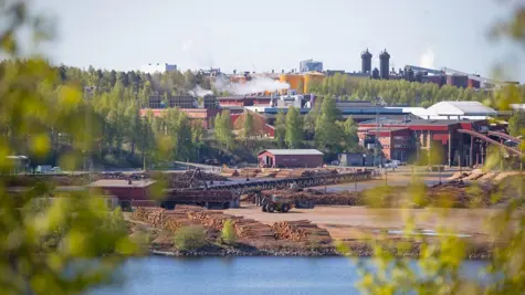 Kaukas sawmill celebrates its 60th anniversary