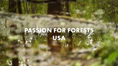 Passion for forests &#x2013; how the UPM Forest Action programme helps enhance biodiversity in Minnesota