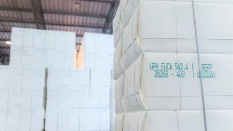 UPM is getting ready to deliver more pulp to new markets