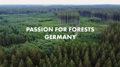 Passion for forests: Tuemme ilmastoviisasta mets&#xE4;nhoitoa Saksassa