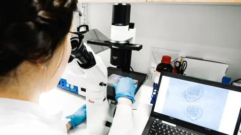 UPM Biomedicals fights cancer with GrowDex&#xAE;