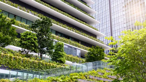 Carbon credit markets are changing with the times