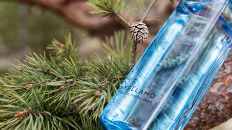Finnish water sold with purity