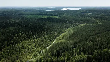 UPM takes nature into account in its daily operations