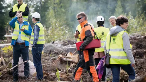 W&#xE4;lder im Fokus