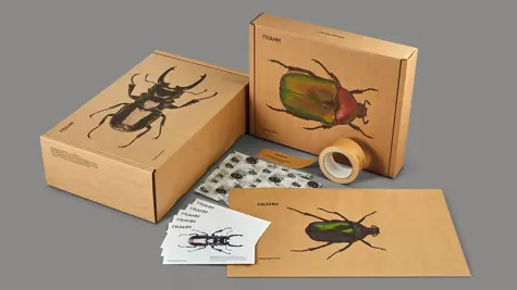 Pentawards champion future of sustainable packaging