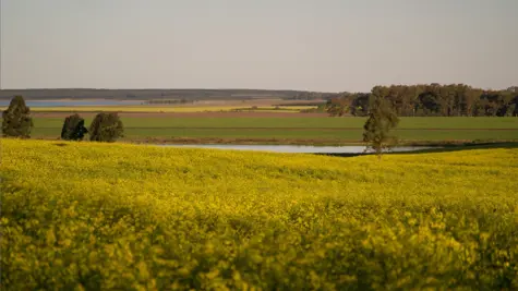 The BIKE journey &#x2014; working towards climate positive farming and sustainable land use