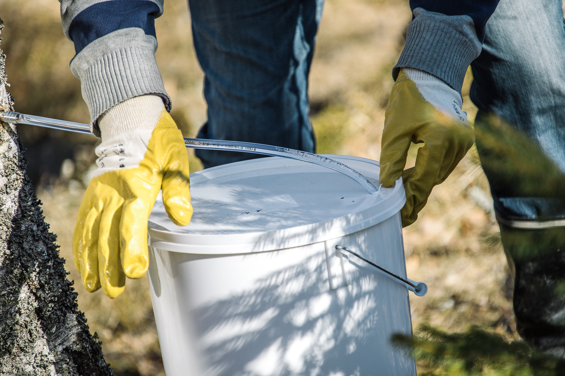 https://www.upm.com/contentassets/6905082150b14d7380a953b6c2887bfb/upm_20170504-birch-water-bucket.jpg