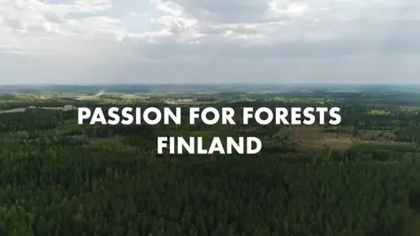 Passion for forests &#x2013; learnings in sustainable forest management accelerate Finnish forests towards a brighter future