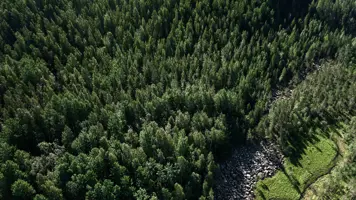 Clear, measurable and transparent key performance indicators monitor the impacts of our forestry operations