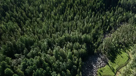 Selke&#xE4;t, mitattavat ja l&#xE4;pin&#xE4;kyv&#xE4;t avainindikaattorit arvioivat mets&#xE4;taloutemme vaikutuksia