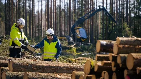 UPM Forest audits its entire supply chain