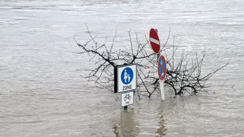 Support for the natural disaster areas in Poland and the US