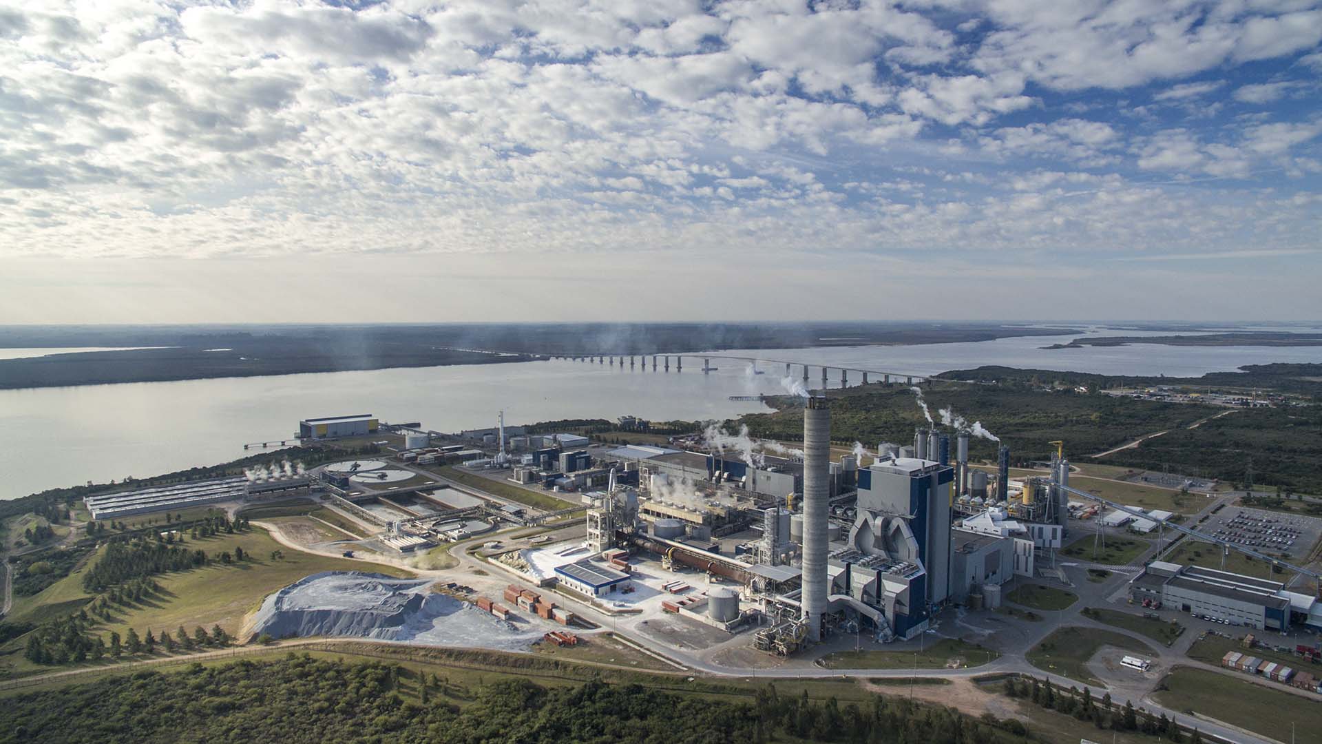 Pulp mill discount