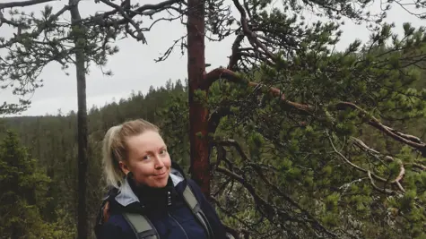Kun sijoittaminen menee aivan mets&#xE4;&#xE4;n ja p&#xE4;in m&#xE4;nty&#xE4;