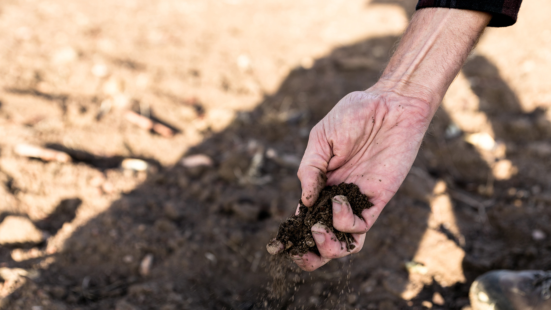 desertification_soil.jpg