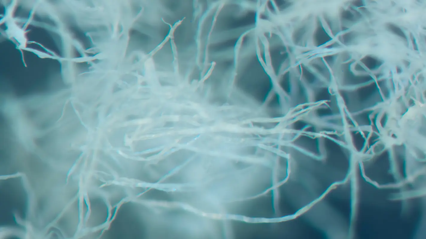 FibGel&#x2122;: A Novel Hydrogel for Medical Devices