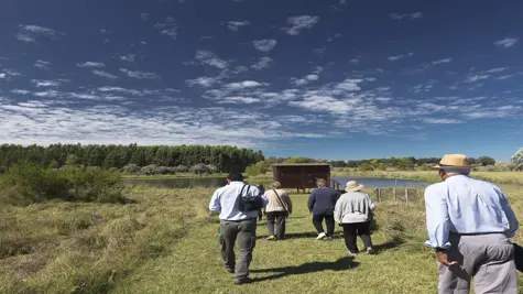 Forests and plantations create value for communities