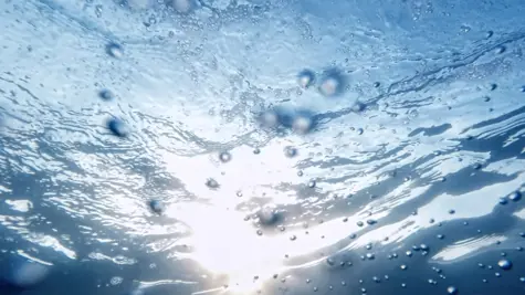 Water